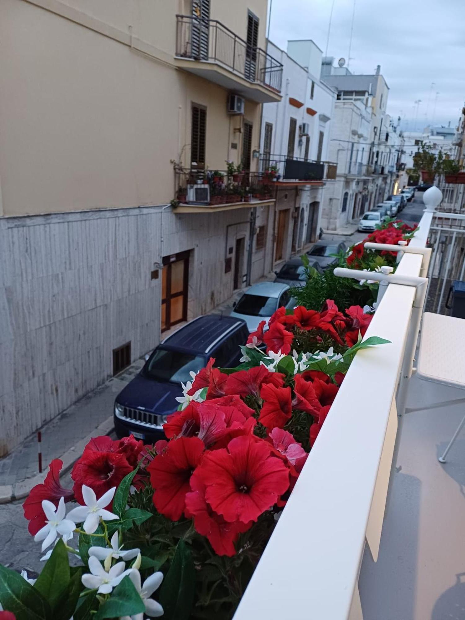 Casa Lina Apartment Мола ди Бари Екстериор снимка